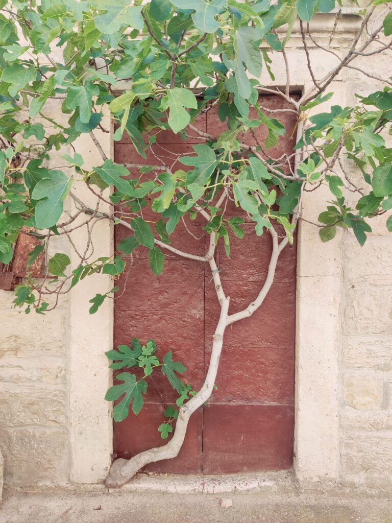 When there is a will, there is a way