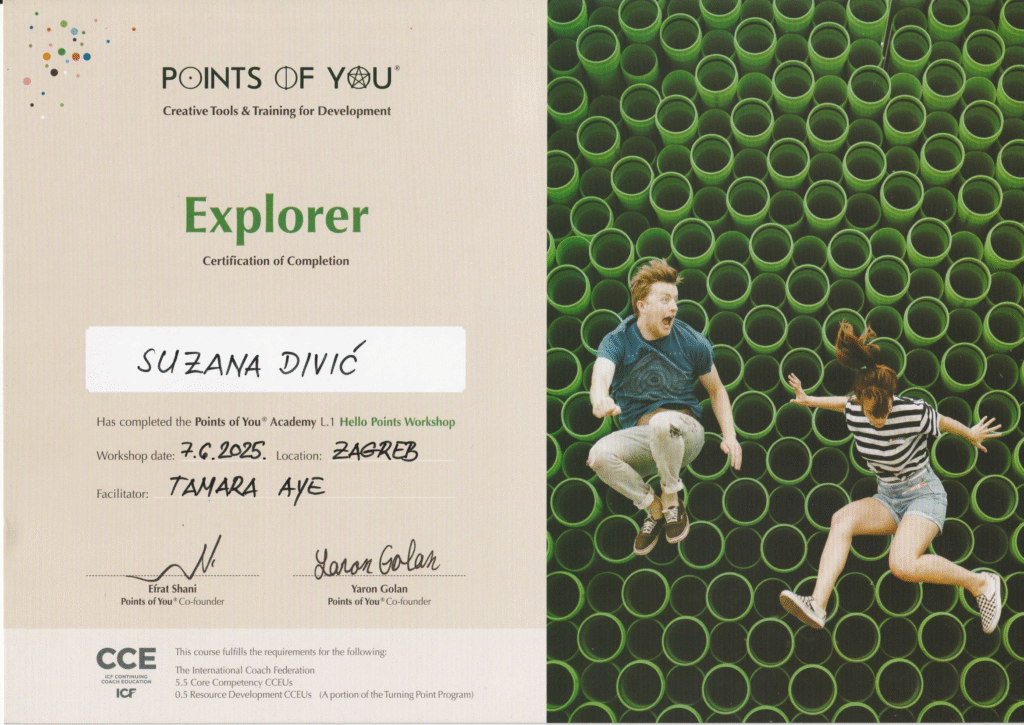 Points of You Explorer Certificate
